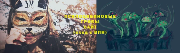 сатива Алзамай