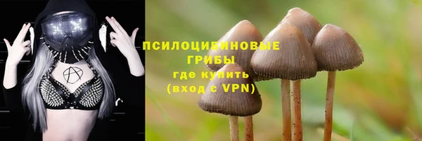 сатива Алзамай