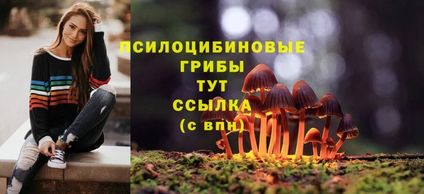 каннабис Алексеевка