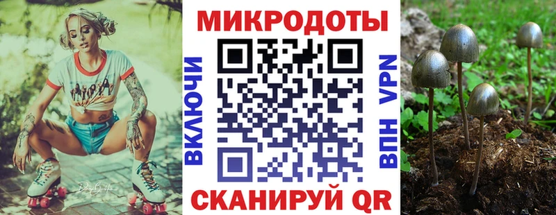 сколько стоит  Нюрба  Псилоцибиновые грибы MAGIC MUSHROOMS 